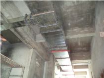 �ؑc�{(l��n)��С�(zh��n)�̘I(y��)�T���ş��L(f��ng)�ܰ��b����